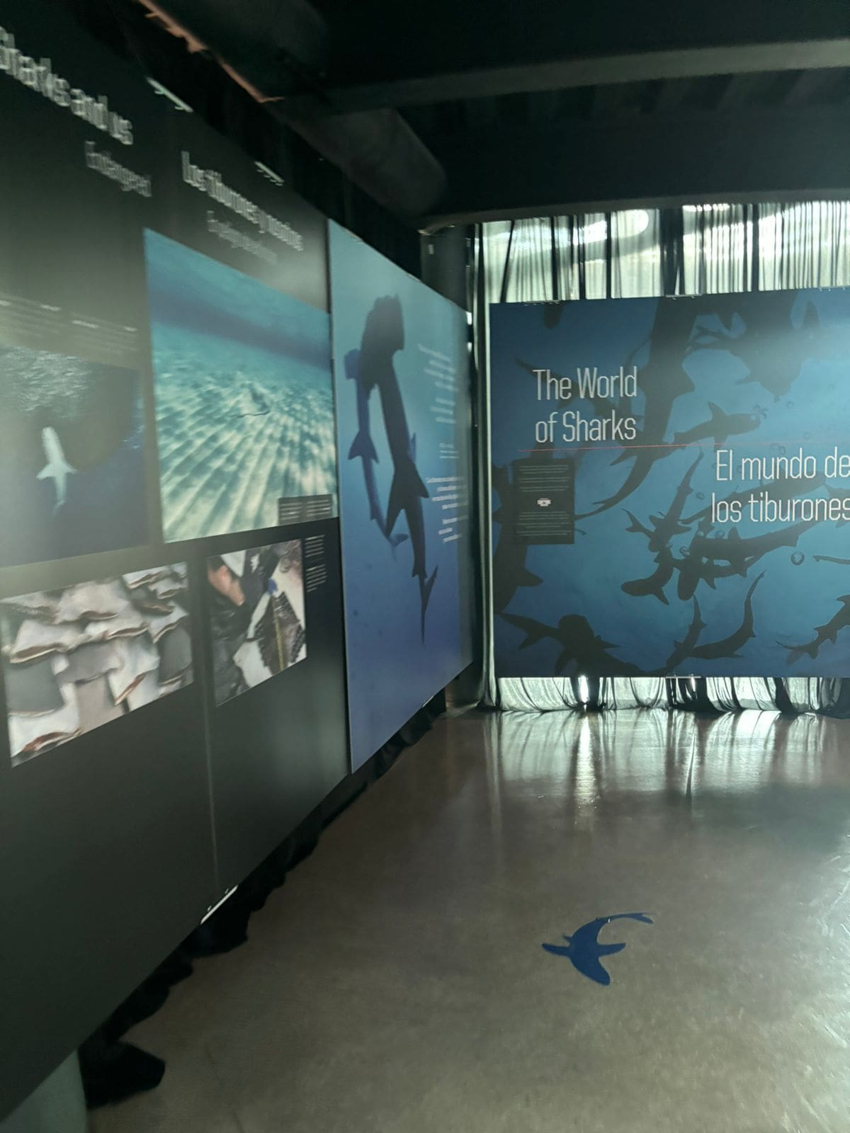 Foto: Lorena Salinas