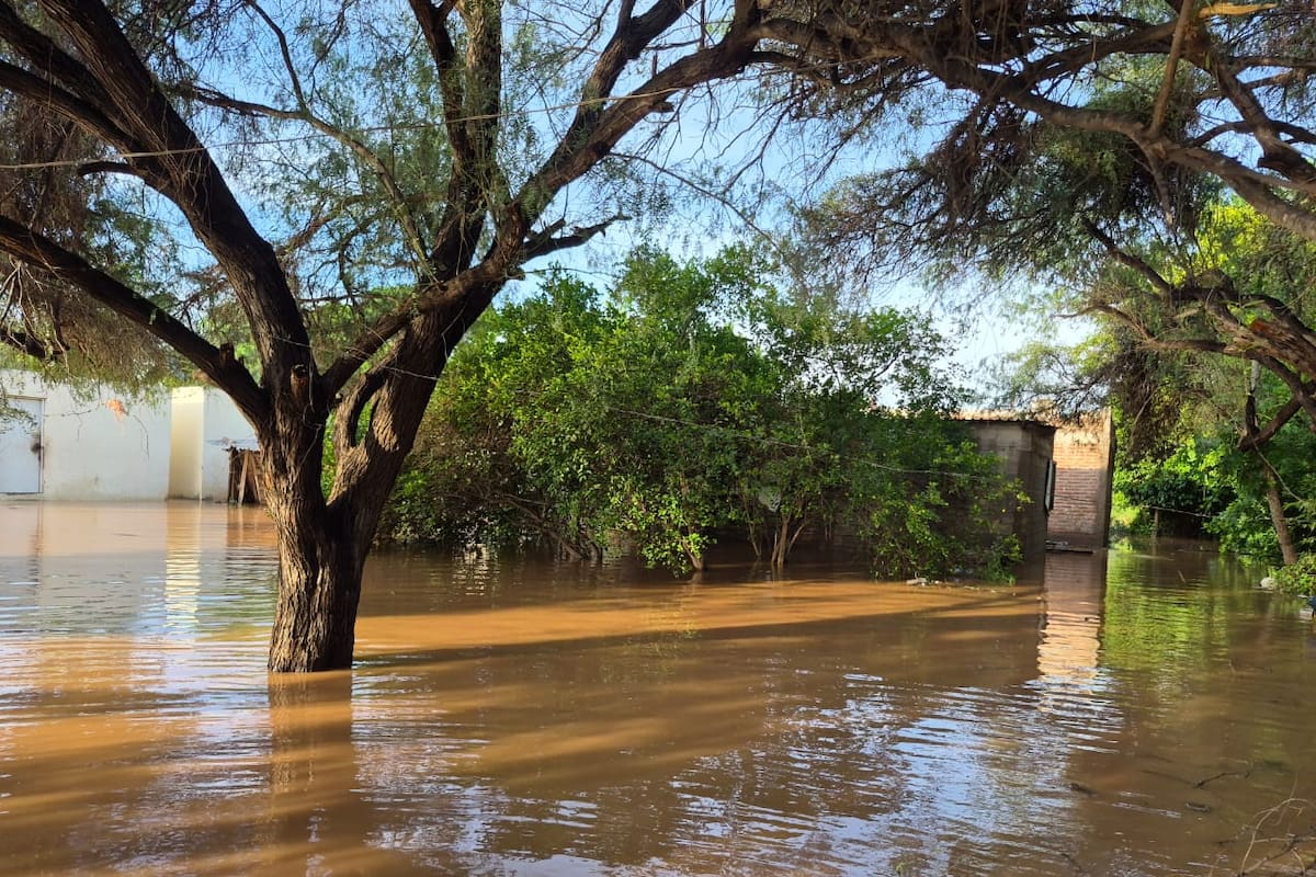Huracán Polo inunda viviendas de pobladores de Estación Oroz y deja bajo el agua tramos carreteros entre Guaymas y Ciudad Obregón