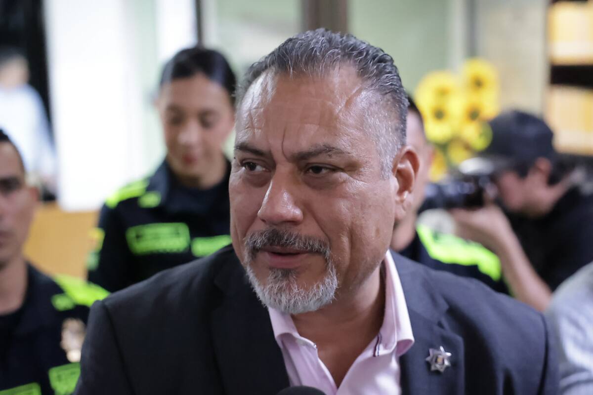 Buscan crear una unidad especial para atenciones de maltrato animal