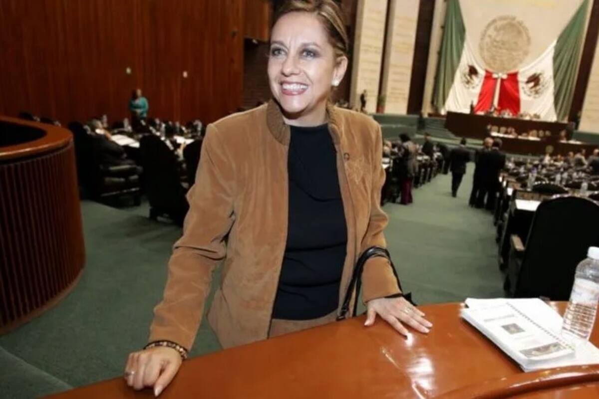 Difusión de las imágenes de la senadora Martha Lucía Mícher es un acto de violencia contra las mujeres: OEA