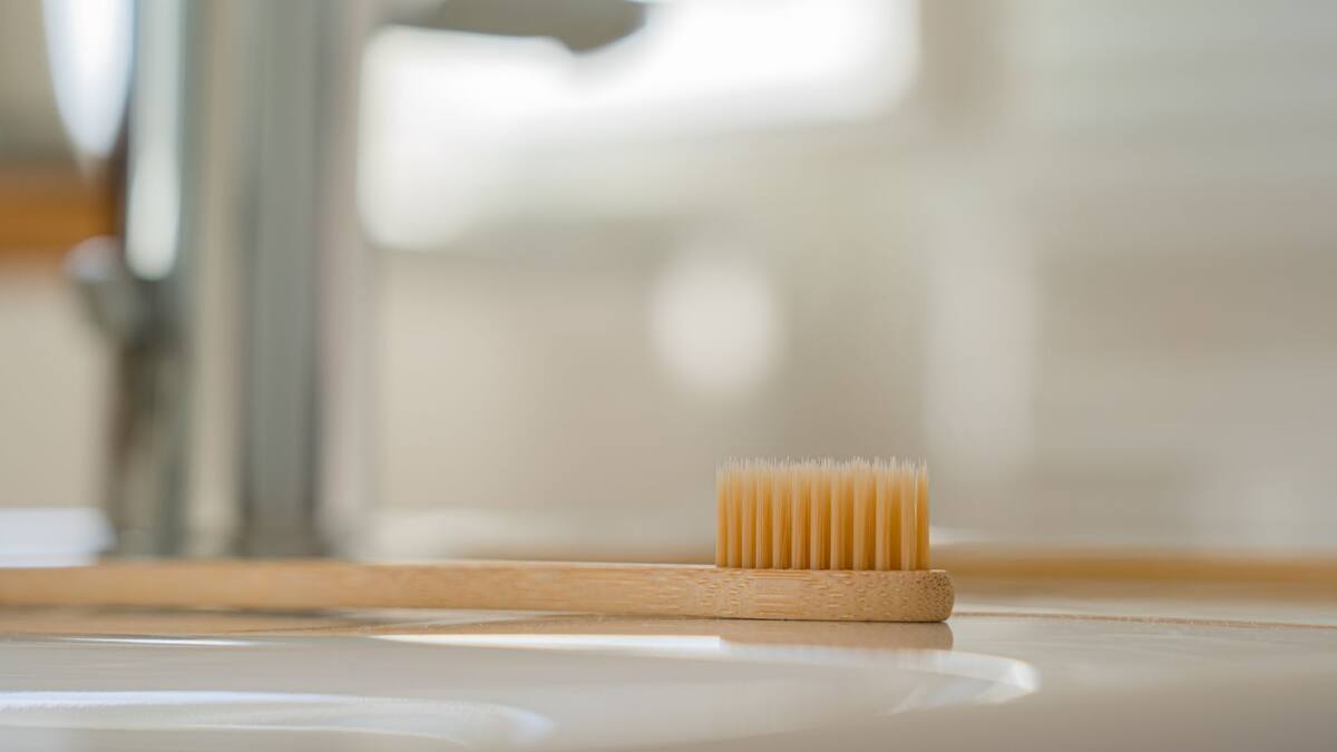 Especialistas advierten que la humedad en los porta cepillos favorece la proliferación de bacterias y recomiendan alternativas más seguras | Foto: Especial