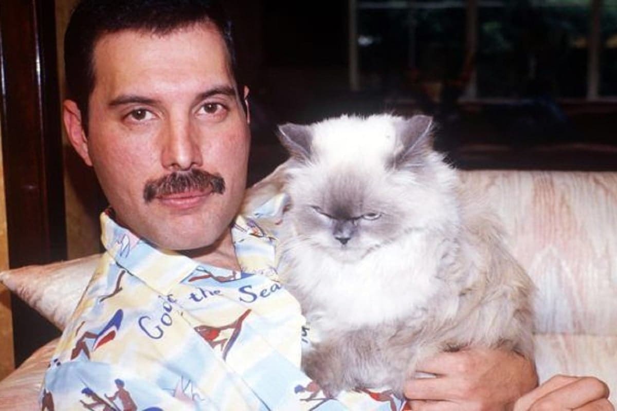 Freddie Mercury dedicó Delilah a su amada gata, una de sus favoritas.