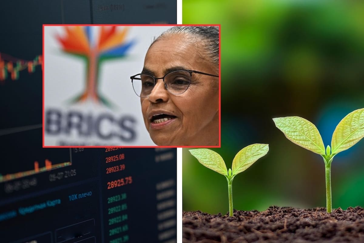 Ministra de Brasil critica guerra comercial de Trump ya que perjudica la lucha climática: “Deberíamos estar guerreando contra la pobreza y el cambio climático”