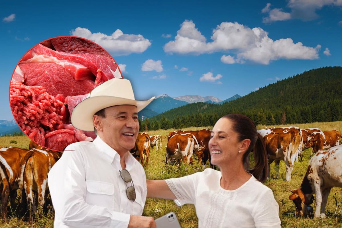 Claudia Sheinbaum anuncia inversión de 700 millones de pesos para producción de carne en Sonora y dos estados más
