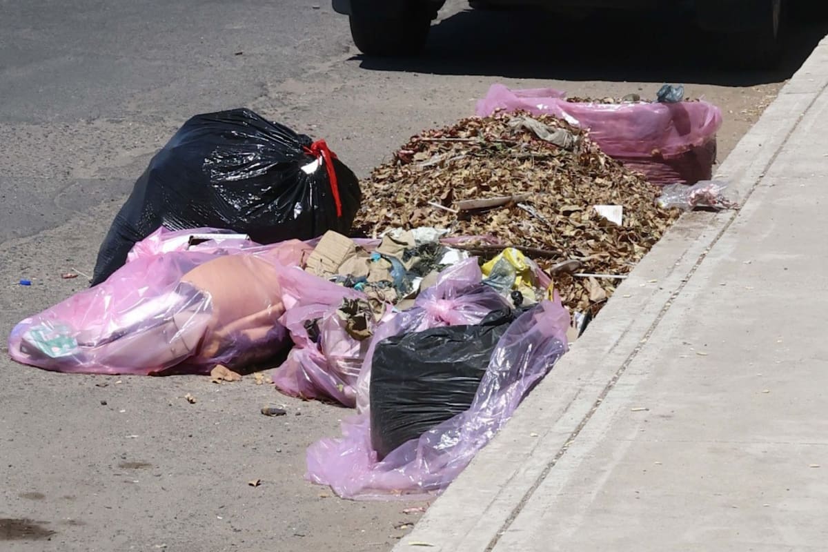 Vecinos de la colonia Modelo piden mejor mantenimiento para el parque Tutuli y la reinstalación de un contenedor de basura