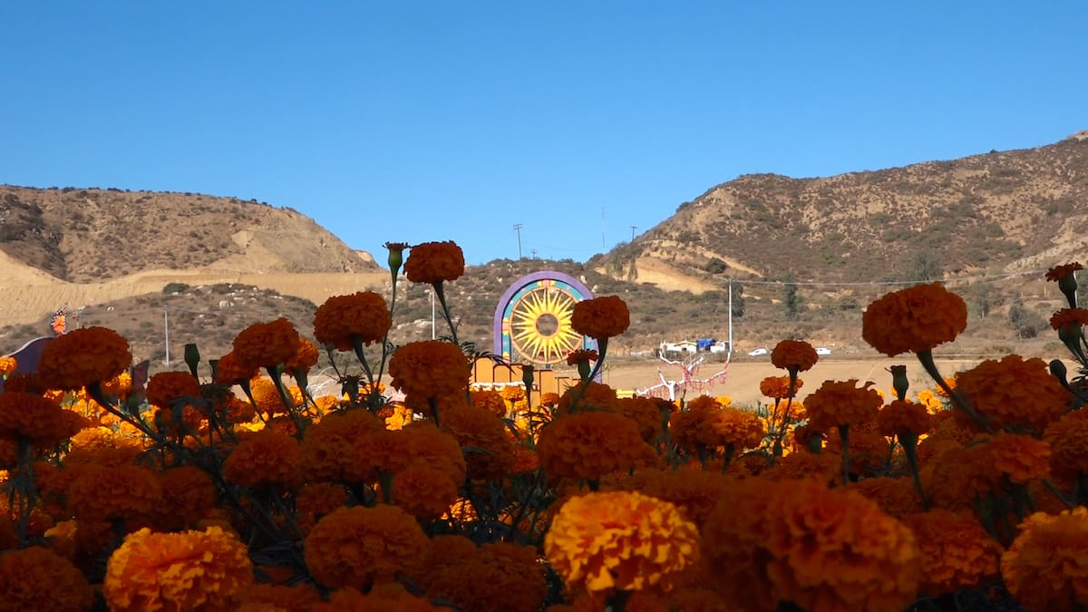 Foto: Leonardo González