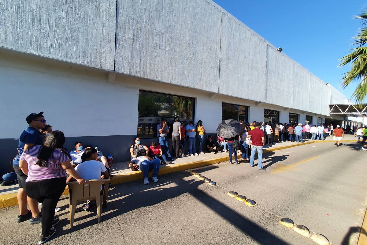 Nada los detiene para ir a votar