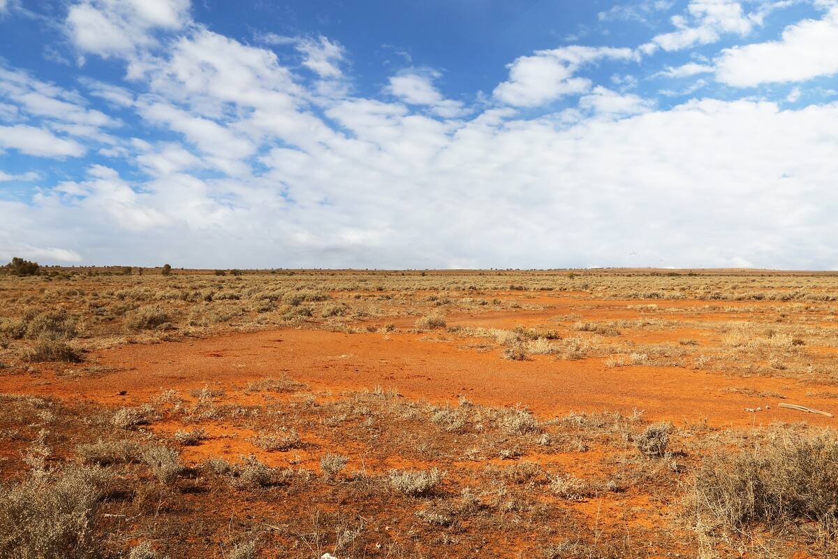 Descubren causa de la misteriosa forma anillada en pastizales del desierto australiano
