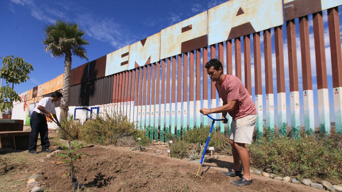 Buscan reforestar el Jardín Binacional de la Amistad tras afectaciones a plantas nativas