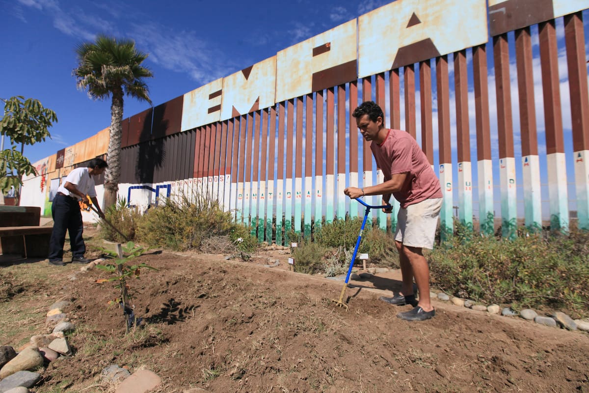 Buscan reforestar el Jardín Binacional de la Amistad tras afectaciones a plantas nativas