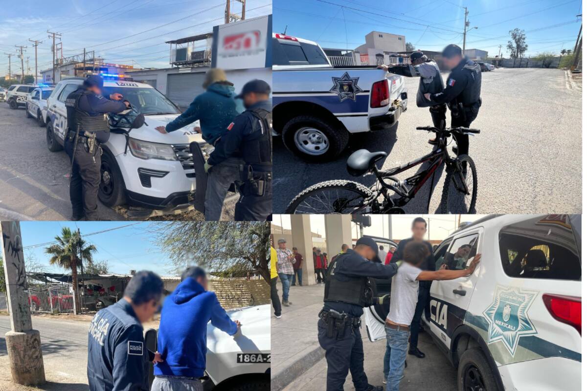 Doce detenidos en operativo “Mexicali Seguro”