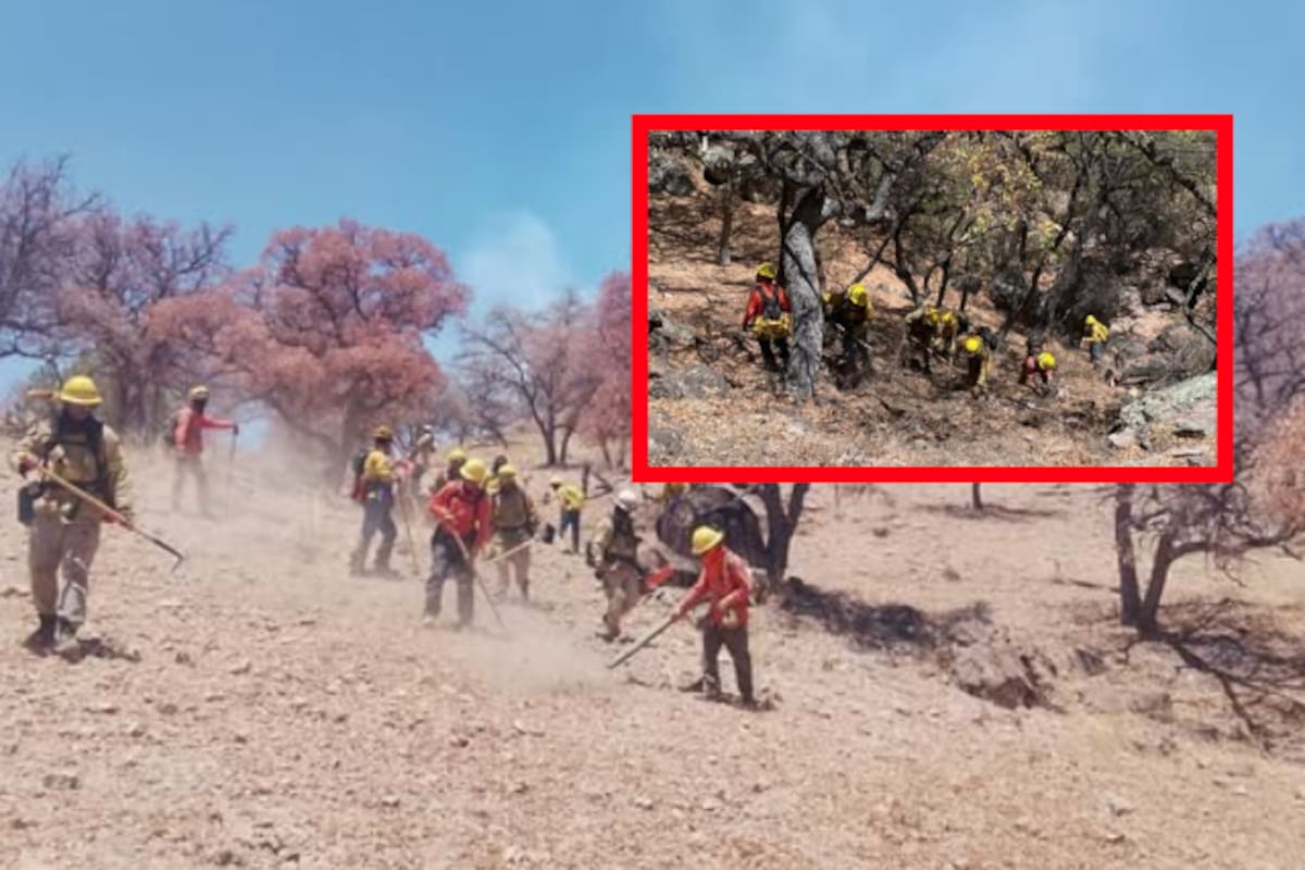 Gobierno de Sonora intensifica combate a incendio forestal en Arizpe