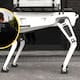 EEUU gastará hasta 2 millones de dólares en en perros robot