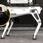 Estados Unidos planea gastar hasta 2 millones de dólares en perros robot para ICE que entrarían primero a zonas peligrosas durante operativos migratorios