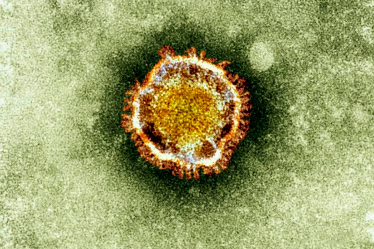 Descartan caso sospechoso de coronavirus en Oaxaca