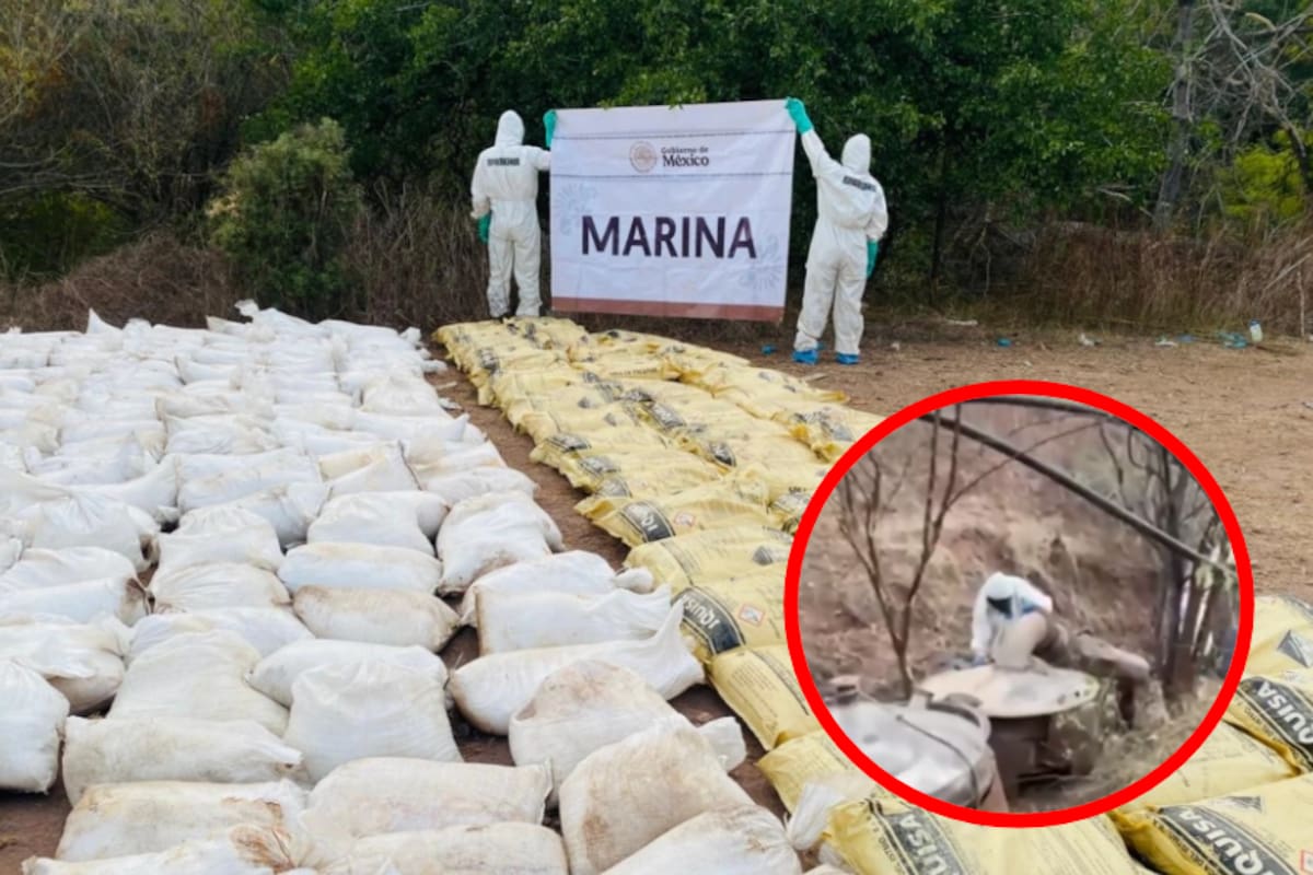 Elementos federales desmantelan narco laboratorios en Culiacán con pérdidas millonarias para el crimen organizado