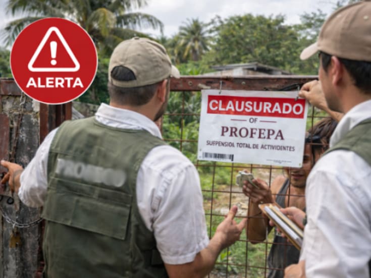 Alerta en Ciudad del Carmen: falsos inspectores de Profepa exigen dinero y colocan sellos ilegales en predios