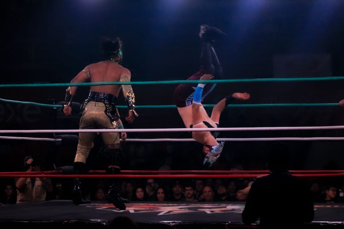 TWP cerró con éxito el 2025