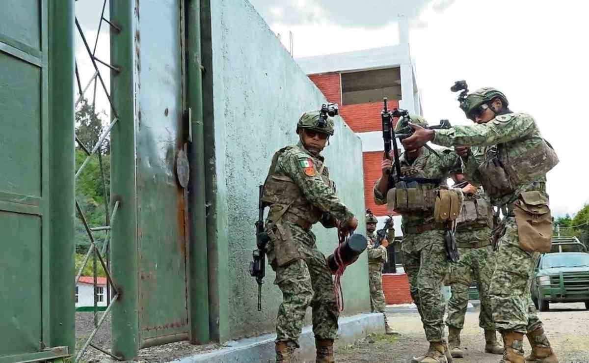 El proyecto busca ampliar las capacidades de las unidades de élite con un arma de calibre intermedio, mayor alcance y precisión; la Sedena aún no define modelo ni calibre.