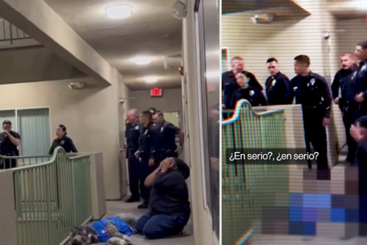 Mujer celebraba la victoria de los Knicks cuando la policía llegó a su casa y mató a su perro por error