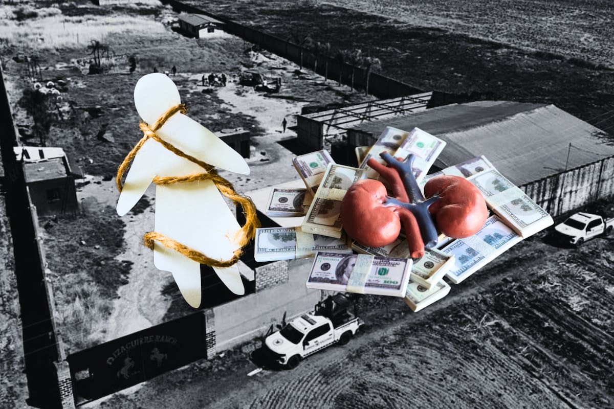 Tráfico de órganos y abuso sexual infantil: sobrevivientes revelan más atrocidades en los crematorios clandestinos de Jalisco