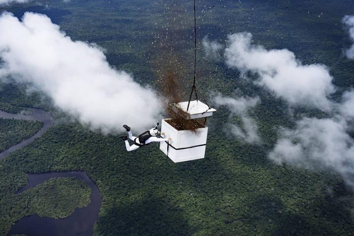 Paracaidista lanzó 100 millones de semillas en zona deforestada del Amazonas