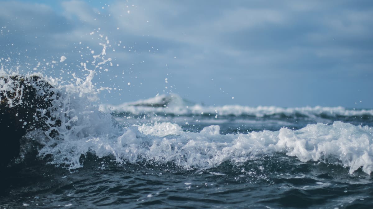 Durante la última era glacial, el nivel del mar llegó hasta 20 metros por encima del actual, según un estudio publicado en Science/Foto: Canva