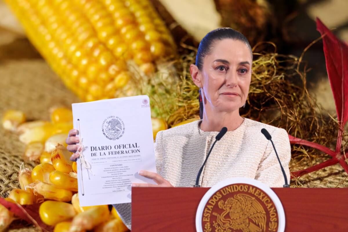 México contra maíz transgénico, publican iniciativa en el DOF
