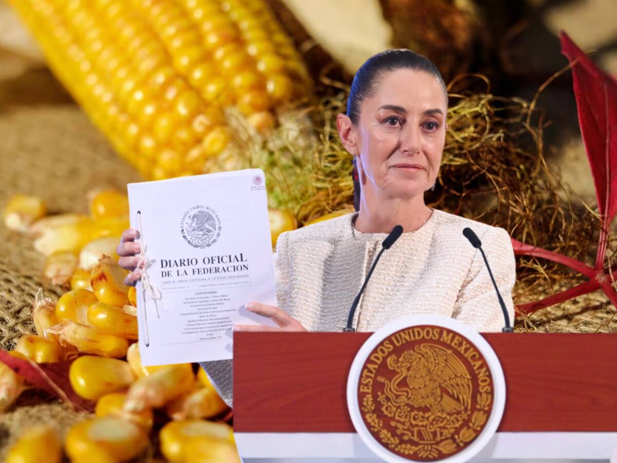 De acuerdo con Julio Berdegué Sacristán, el nuevo titular de Sader, Claudia Sheinbaum buscará llevar la prohibición del maíz transgénico a la Constitución. | Crédito: El Universal/Presidencia