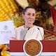 SCJN falló a favor del maíz mexicano ante transgénicos