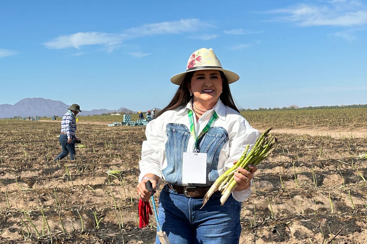 Consolida Gobierno de Sonora liderazgo nacional en producción agroalimentaria: Célida López Cárdenas