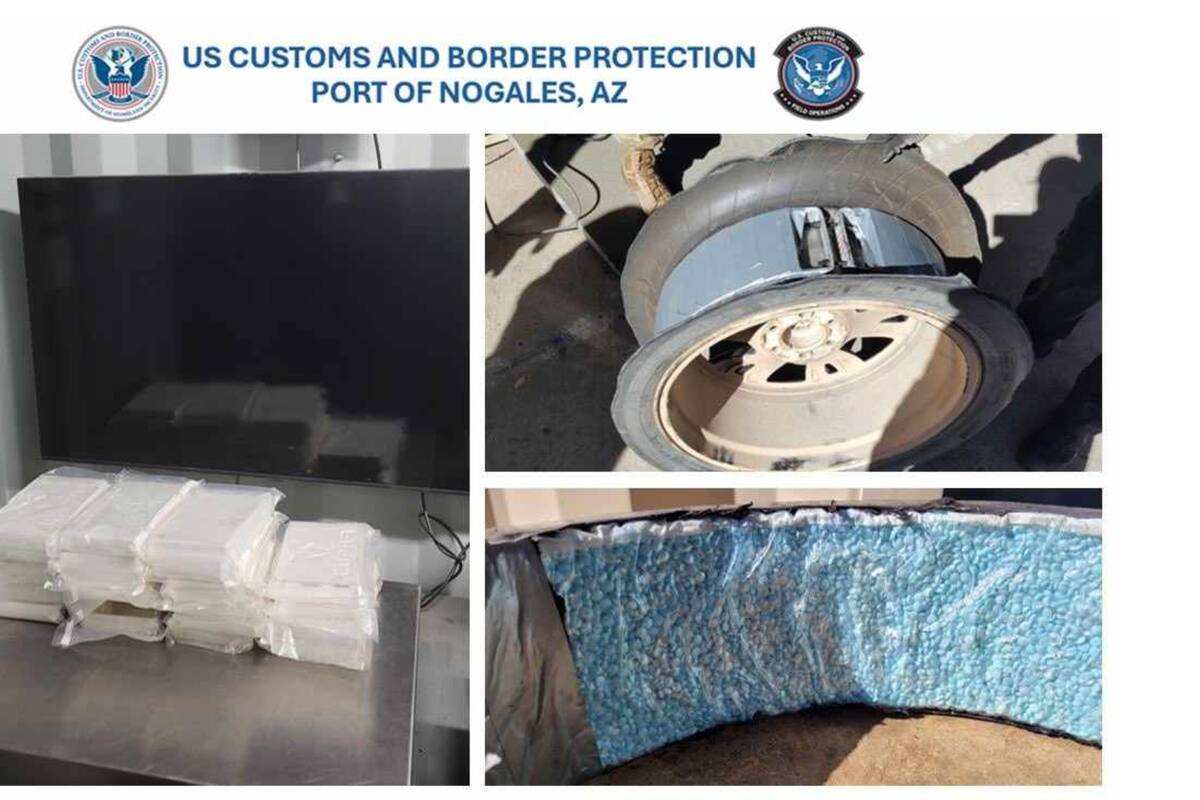 Millonarios decomisos de narcóticos se registraron en garitas de Nogales en diciembre