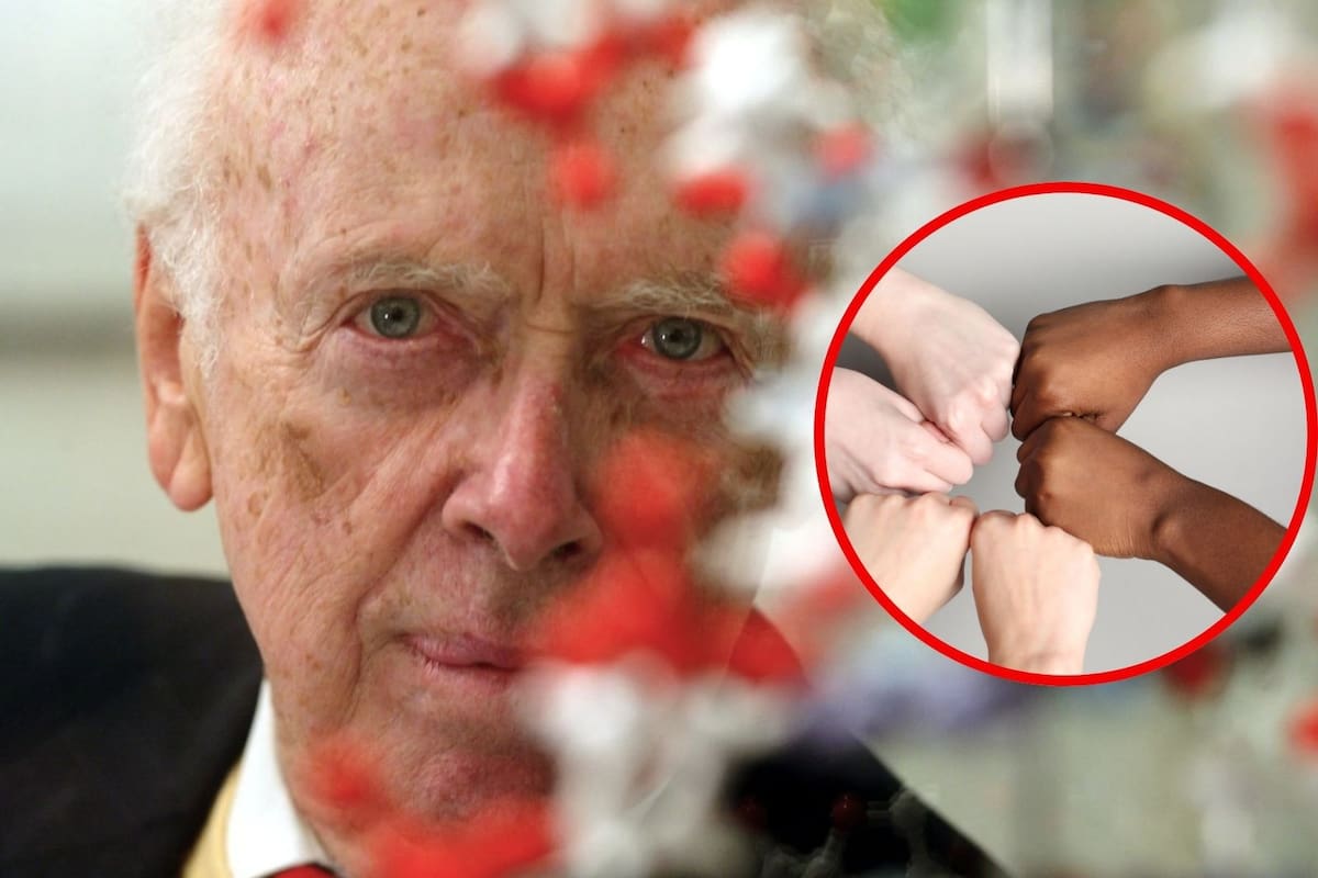 Muere James Watson, el polémico científico que ganó el Nobel por sus descubrimientos sobre el ADN y luego fue despojado de sus títulos por repetir que los negros son menos inteligentes que los blancos debido a sus genes pese a que ya se había disculpado