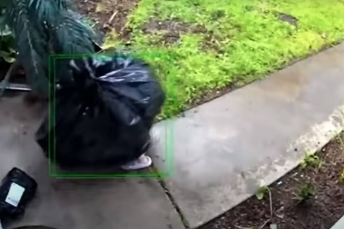 Video Viral: Ladrón se disfraza de bolsa de basura para adueñarse de paquetería