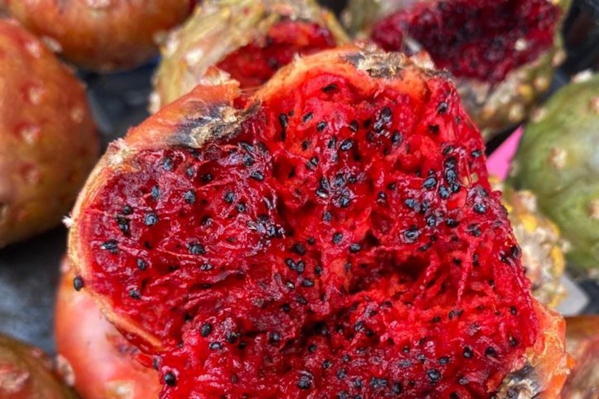 En Sonora le sacan jugo a las pitayas y hacen ¡hasta tortillas!