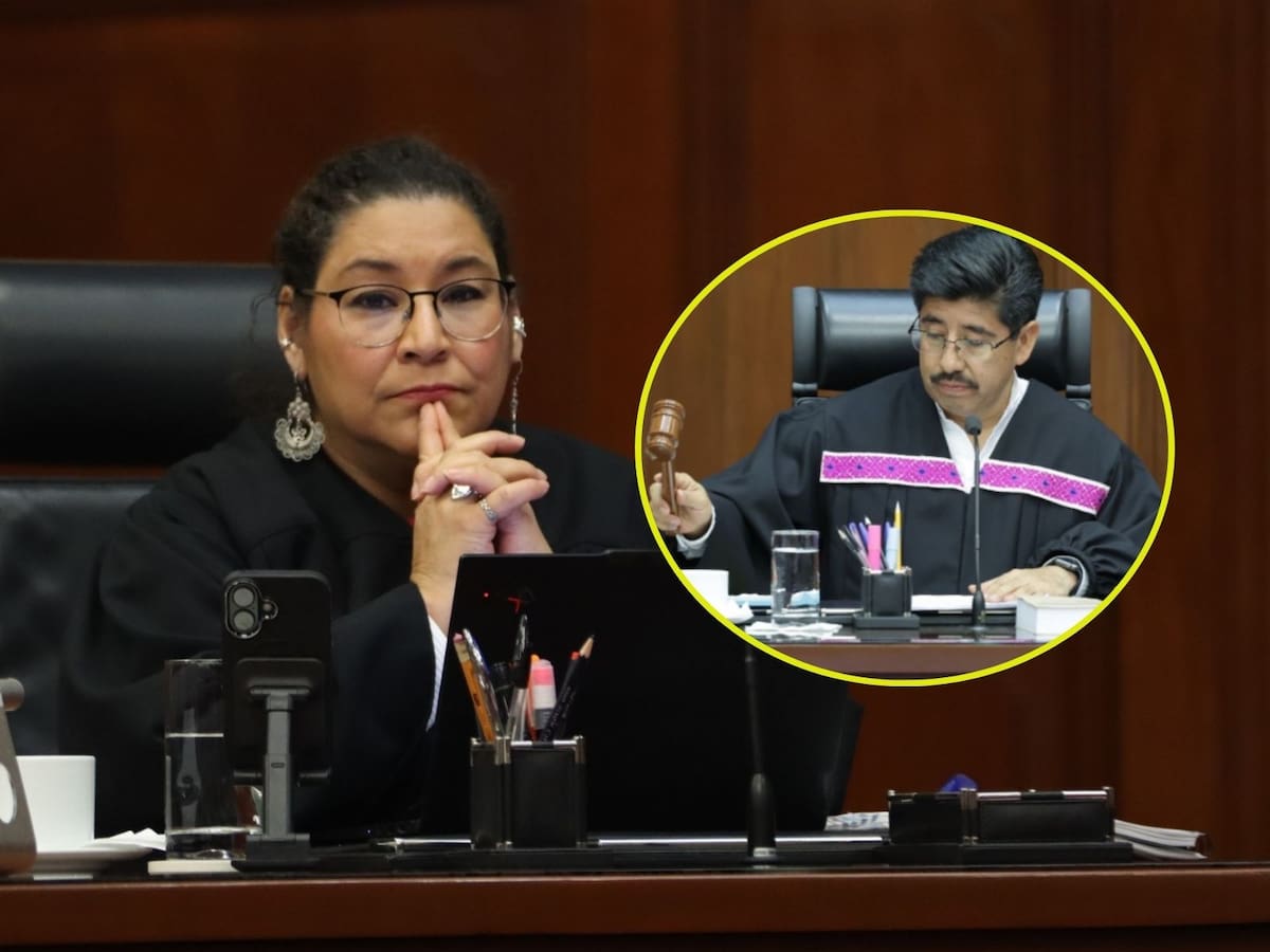 Tras polémica en redes, la Suprema Corte admite error en contrato del retrato de Lenia Batres y confirma que no existió pago ni relación contractual. | Crédito: X @LeniaBatres @HugoAguilarOrti