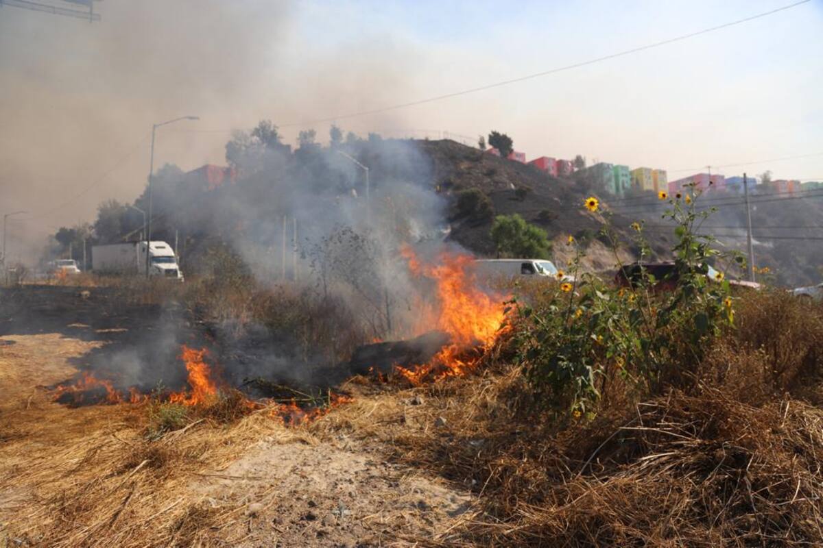 Atienden bomberos 113 reportes por incendio
