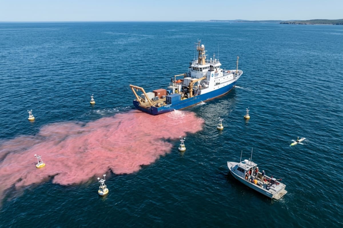 Durante cinco días, el equipo monitoreó el comportamiento del agua y los posibles efectos sobre el ecosistema marino mediante barcos, drones y sensores especializados. Fotografía Ilustrativa (Gemini)