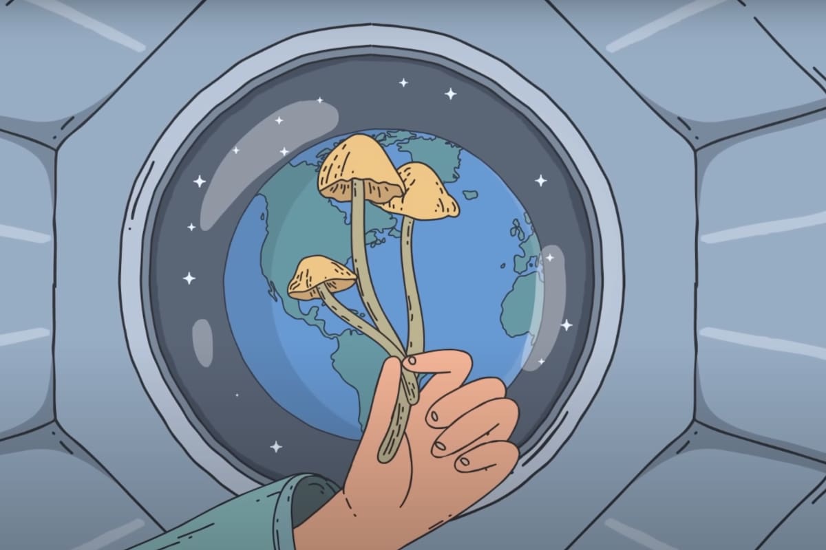 Descubre cómo los hongos podrían ser clave para la vida humana en el espacio