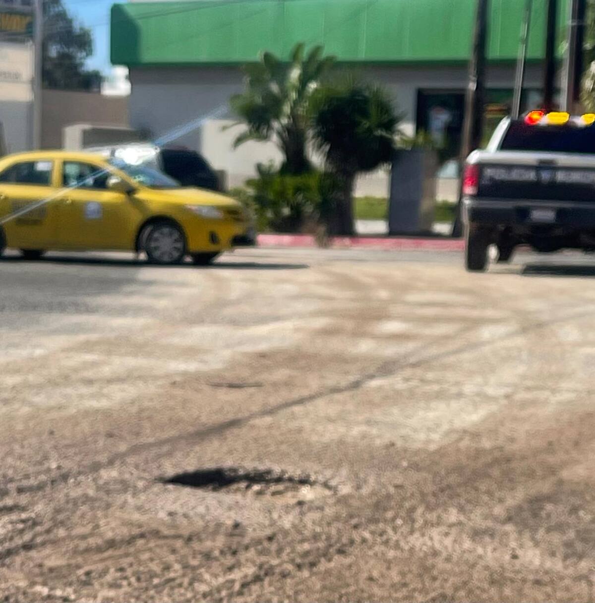 Foto: cortesía