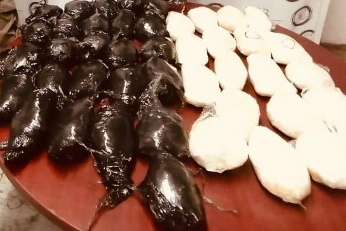 Aseguran la FGR en Tijuana 21 kilos de metanfetamina