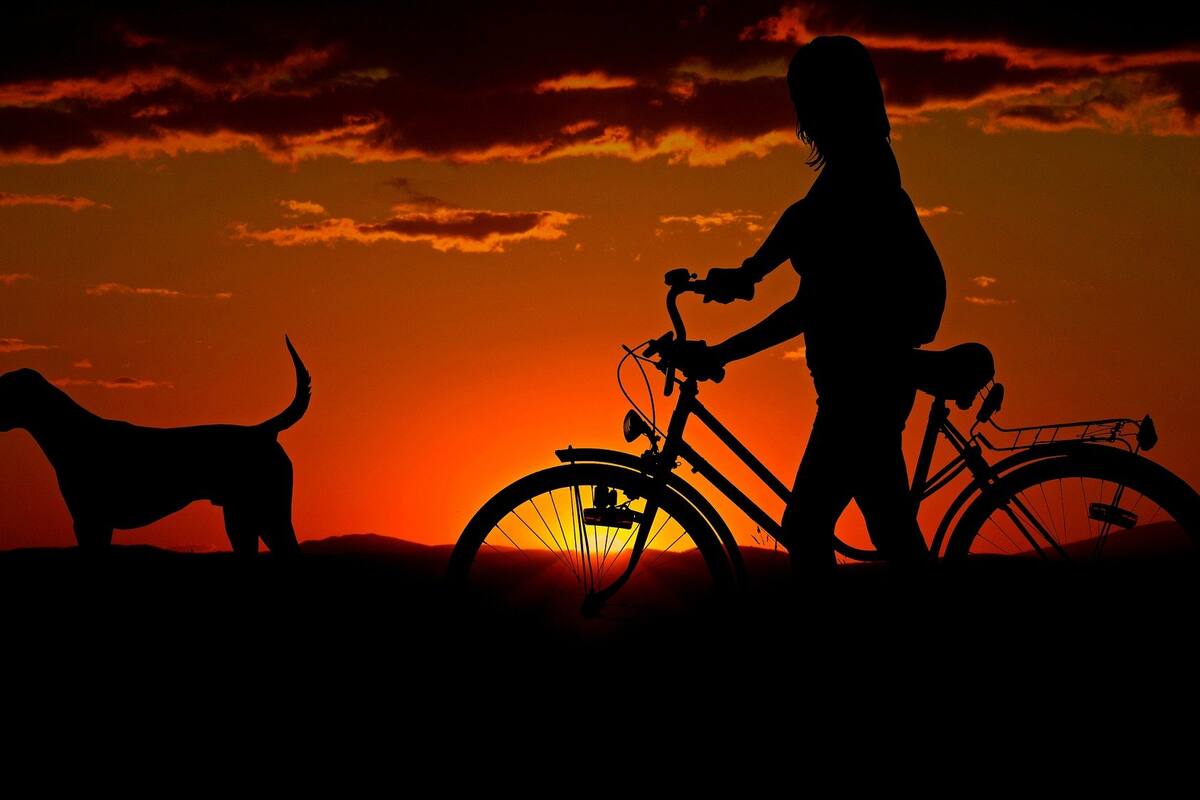 Científicos determinan que también los paseos cortos contribuyen a una mayor longevidad