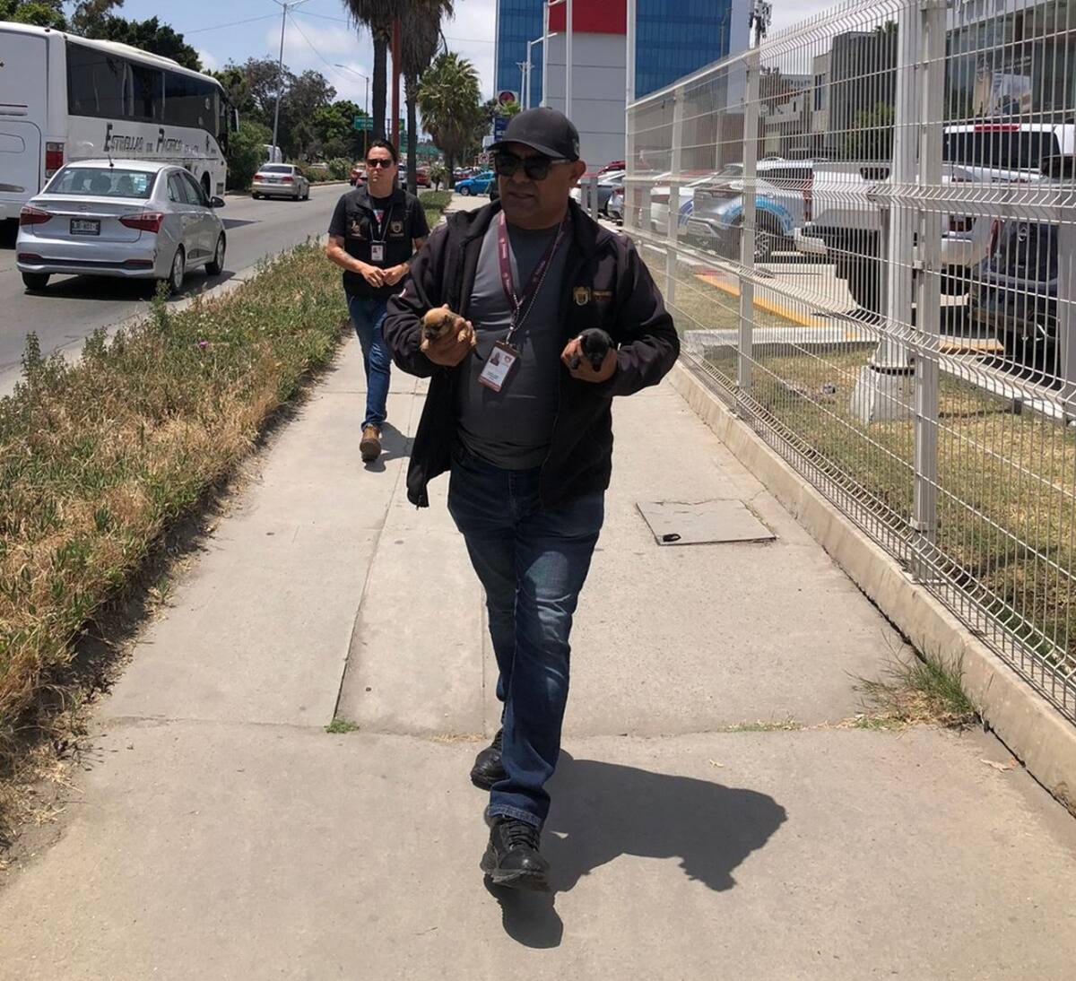 La Dirección de Inspección y Verificación Municipal realiza una supervisión permanente en puntos estratégicos de la ciudad, siendo la garita internacional de San Ysidro una de las zonas con mayor incidencia.