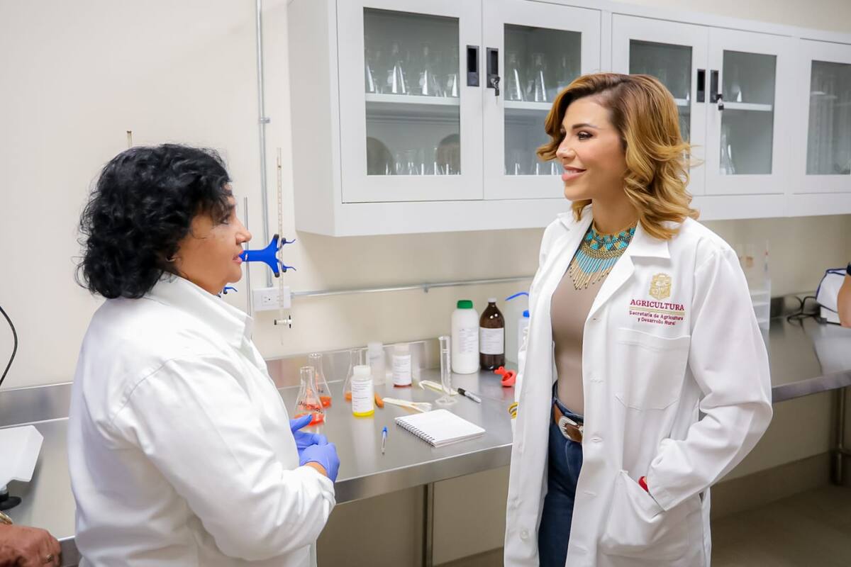 Conforma BC primer Comité Ciudadano de Alimentación