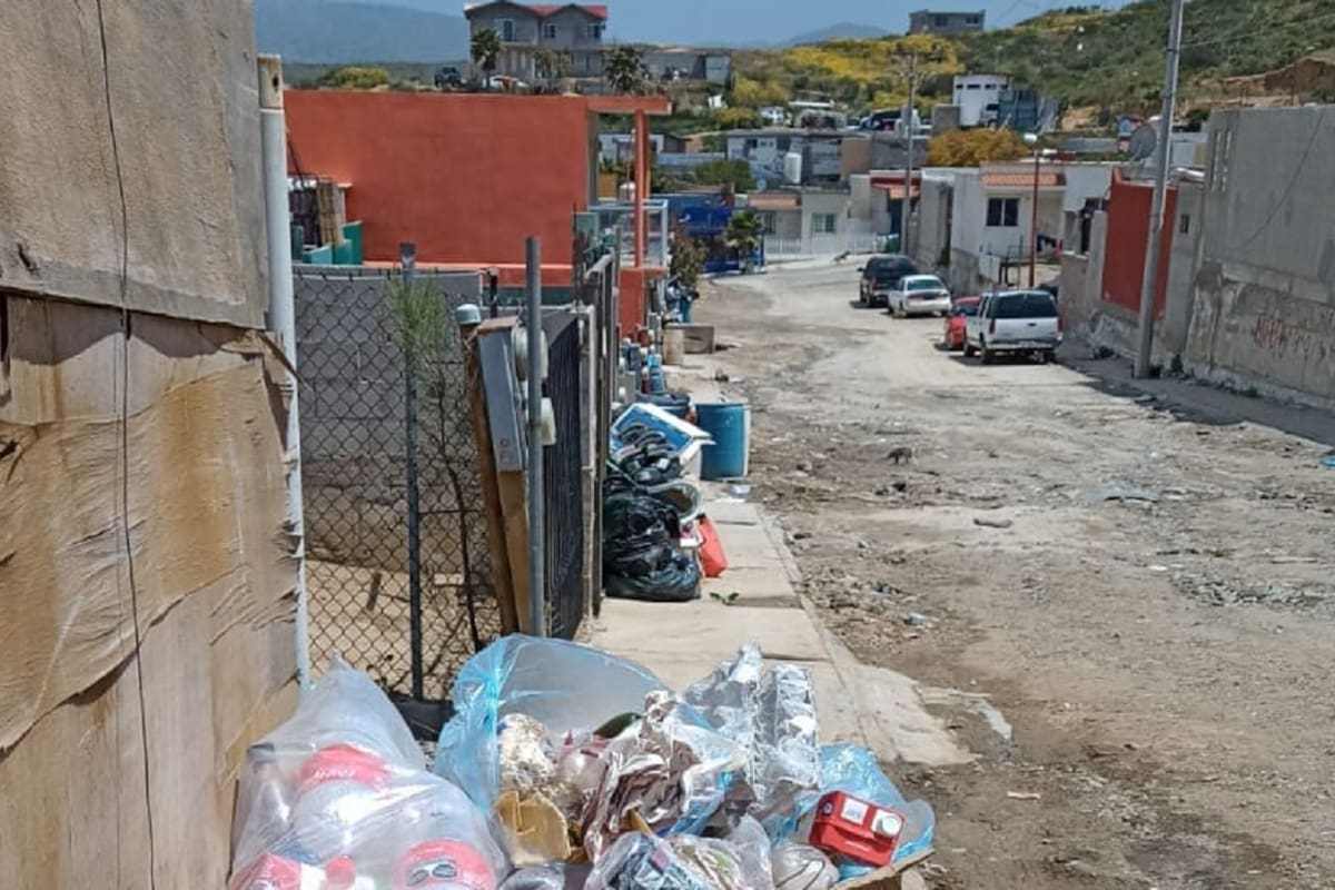 Focalizan casos de rickettsiosis en Fraccionamiento Montemar