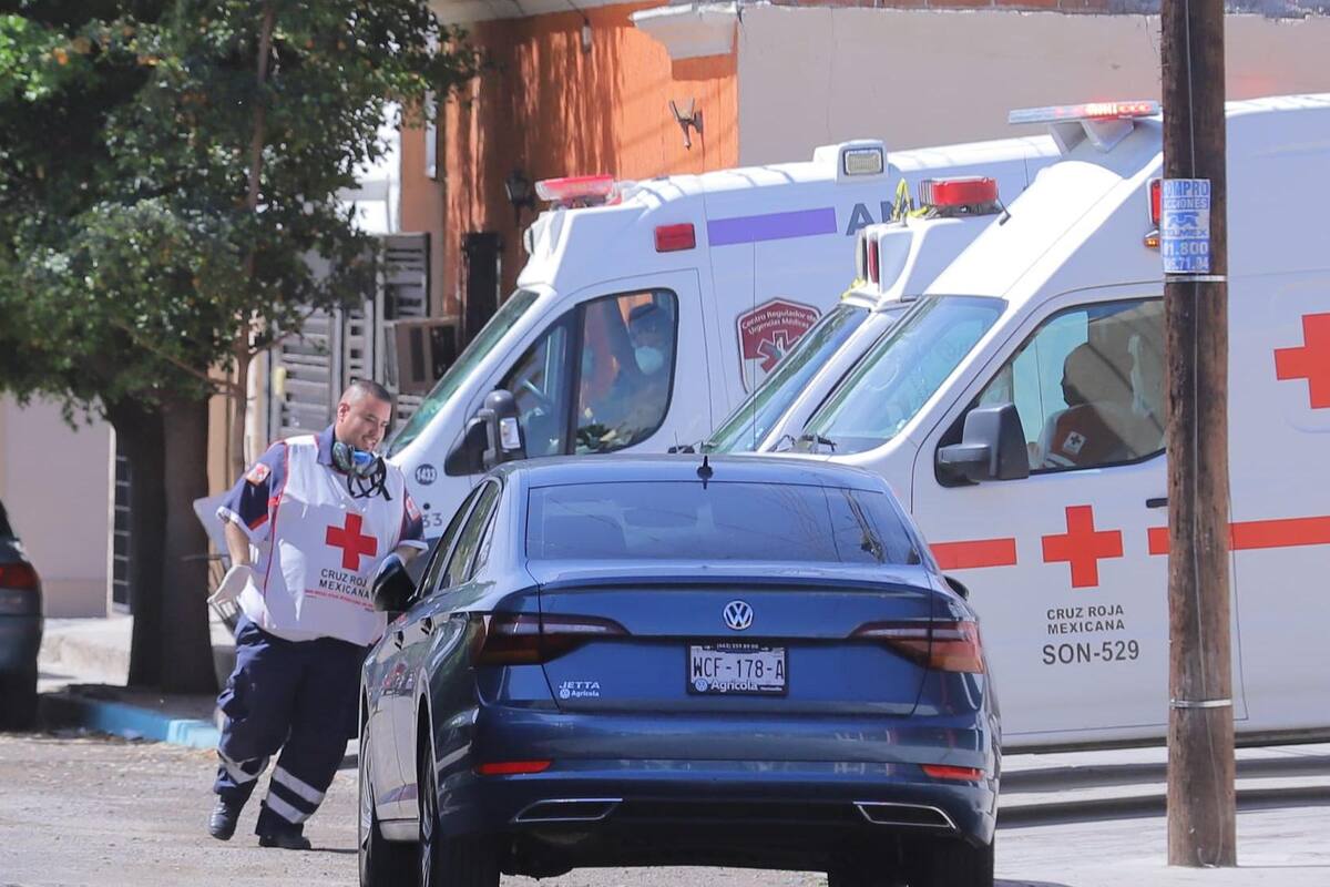Abejas lesionan a seis personas en Hermosillo; Bomberos buscan retirar enjambre