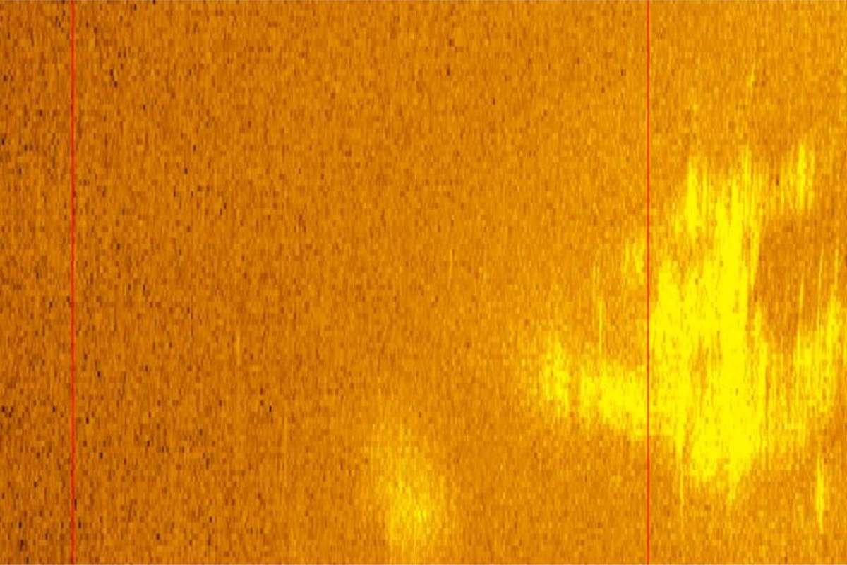 Sonar posiblemente detectó avión perdido de Amelia Earhart a 16 mil pies bajo el agua