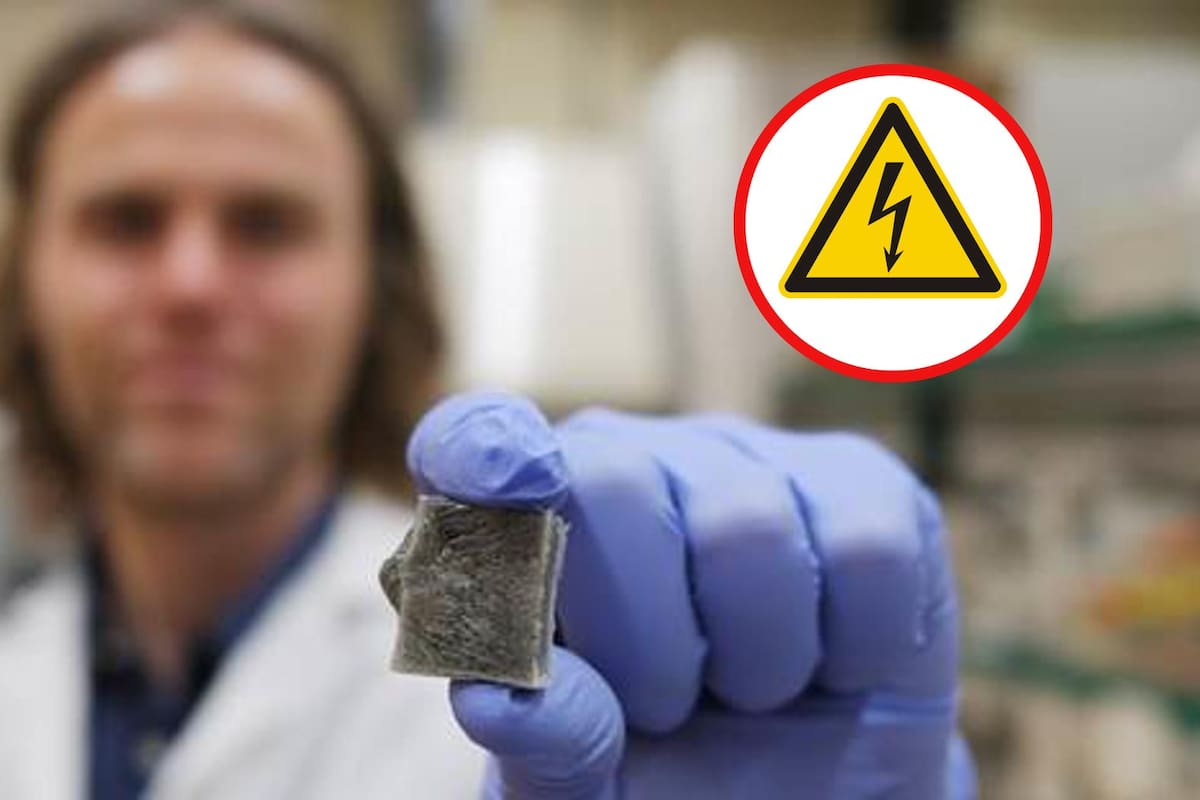 Desarrollan material de algas que genera electricidad y es resistente al fuego