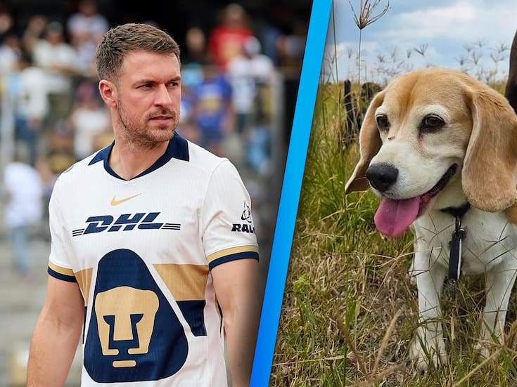 Aaron Ramsey de los Pumas perdió su perro en Guanajuato y ofrece recompensa