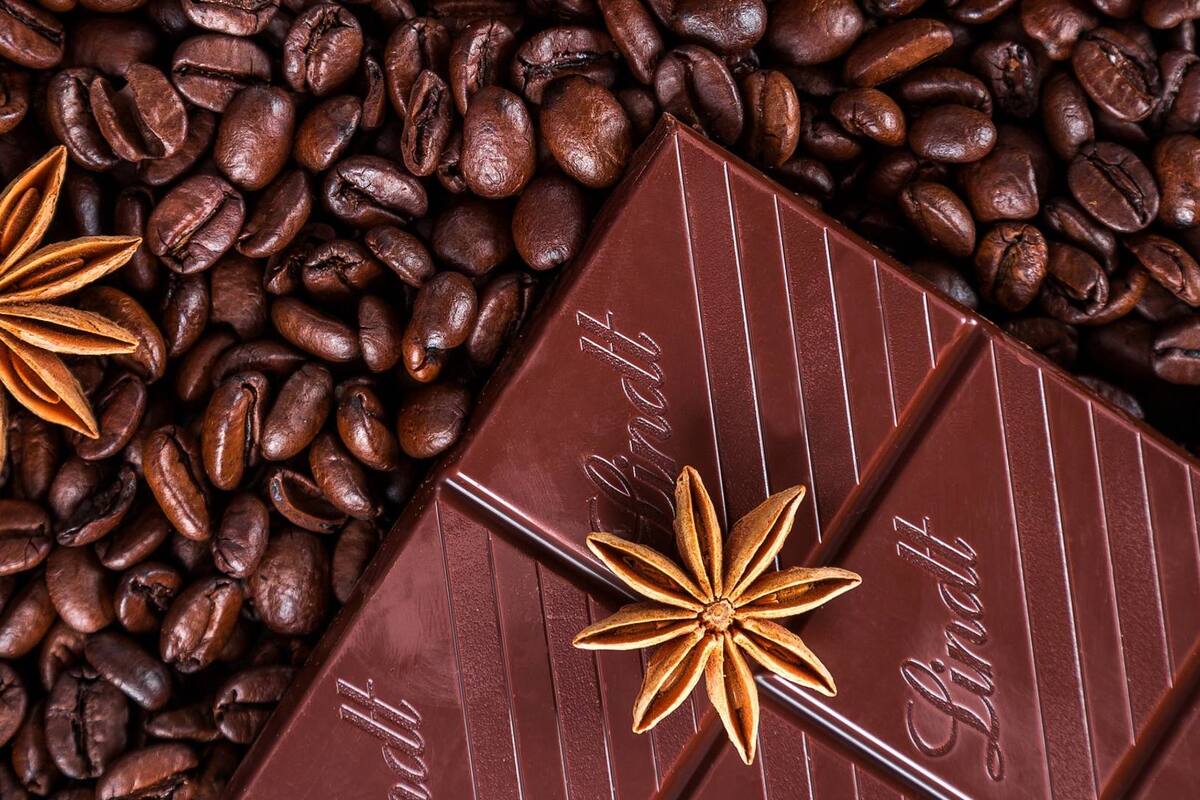 Café y Chocolate Fest: Así será el festival del cacao y la cafeína en Ciudad de México